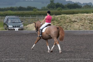 ISIS Dressage Challenge 2008